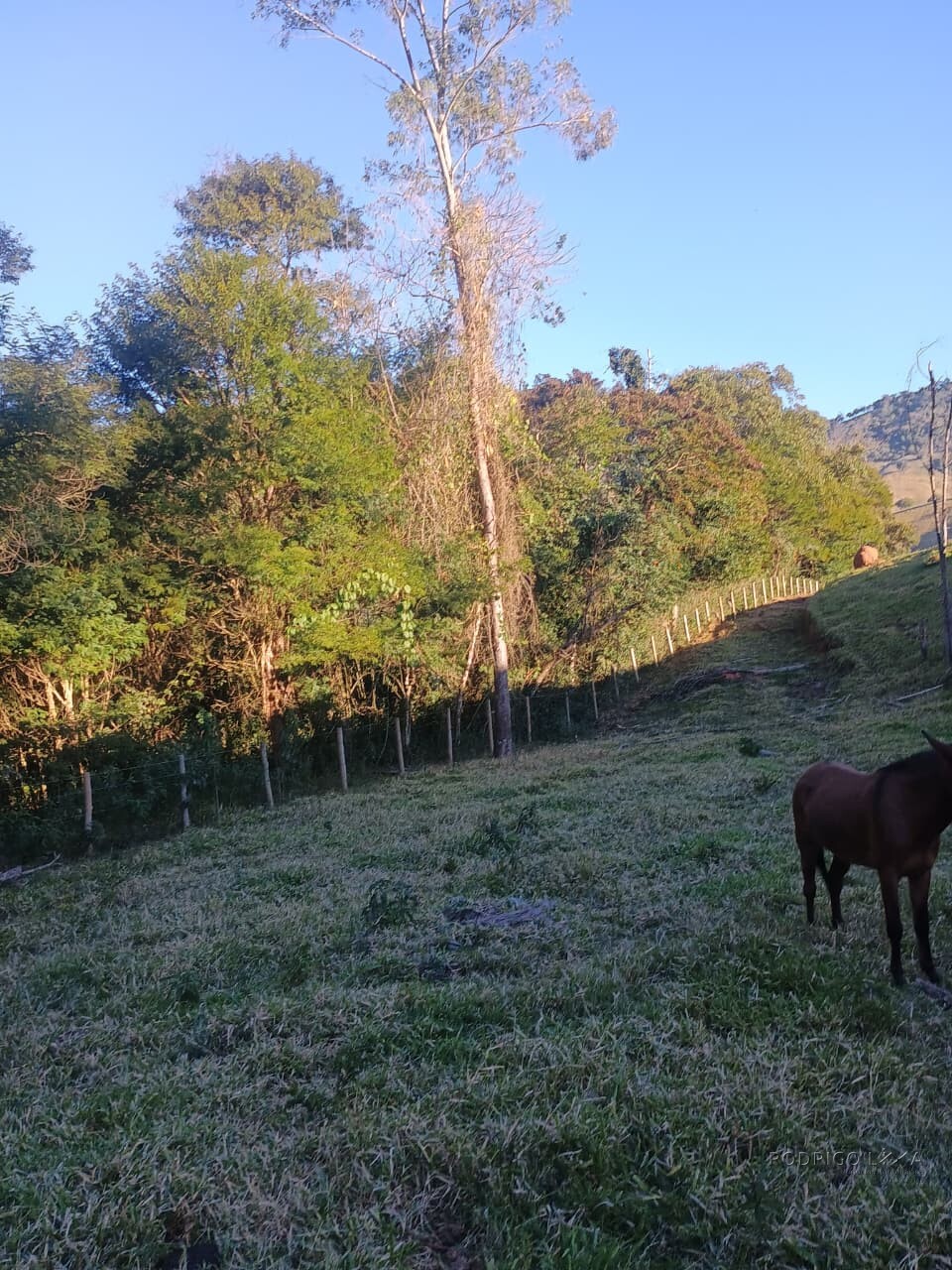 Propriedade rural para venda em Virgínia/MG