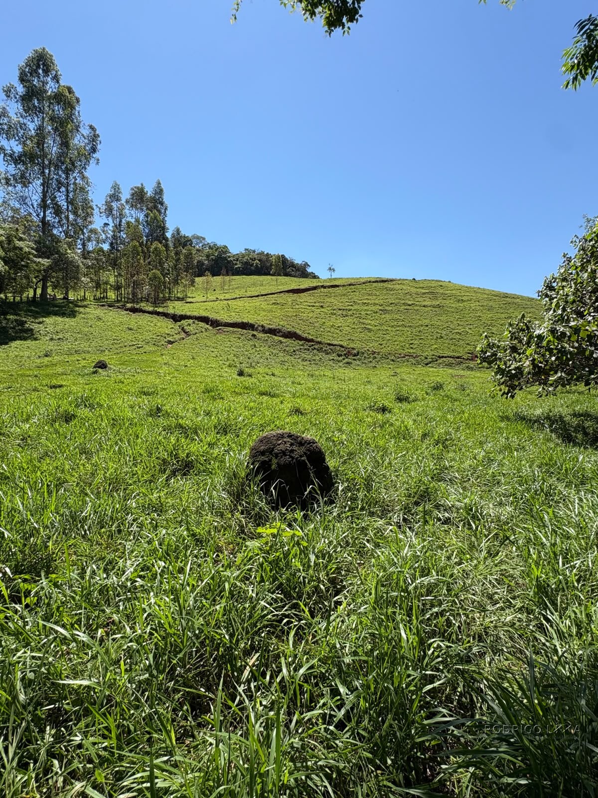 Terreno Rural para venda em Dom Viçoso MG