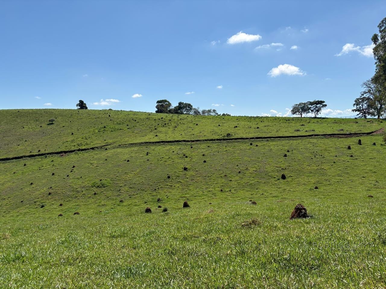 Terreno Rural para venda em Dom Viçoso MG