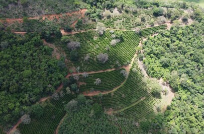 Fazenda para venda em Jesuânia/MG