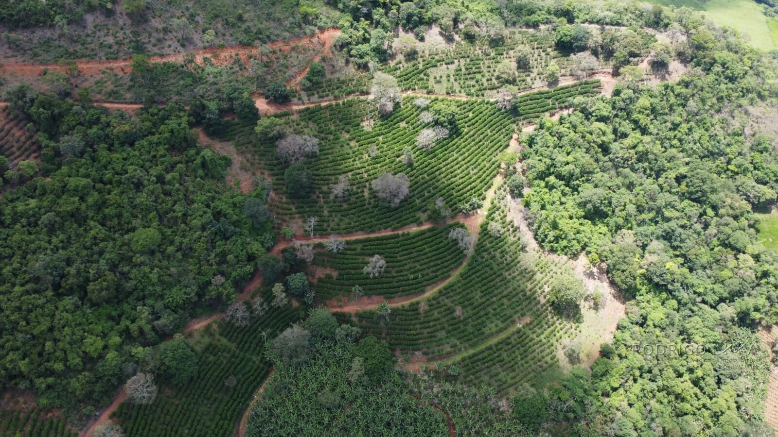 Fazenda para venda em Jesuânia/MG