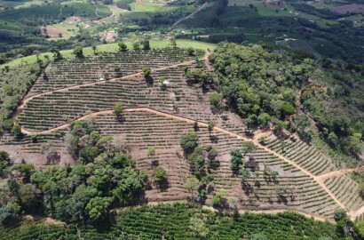 Fazenda para venda em Jesuânia/MG