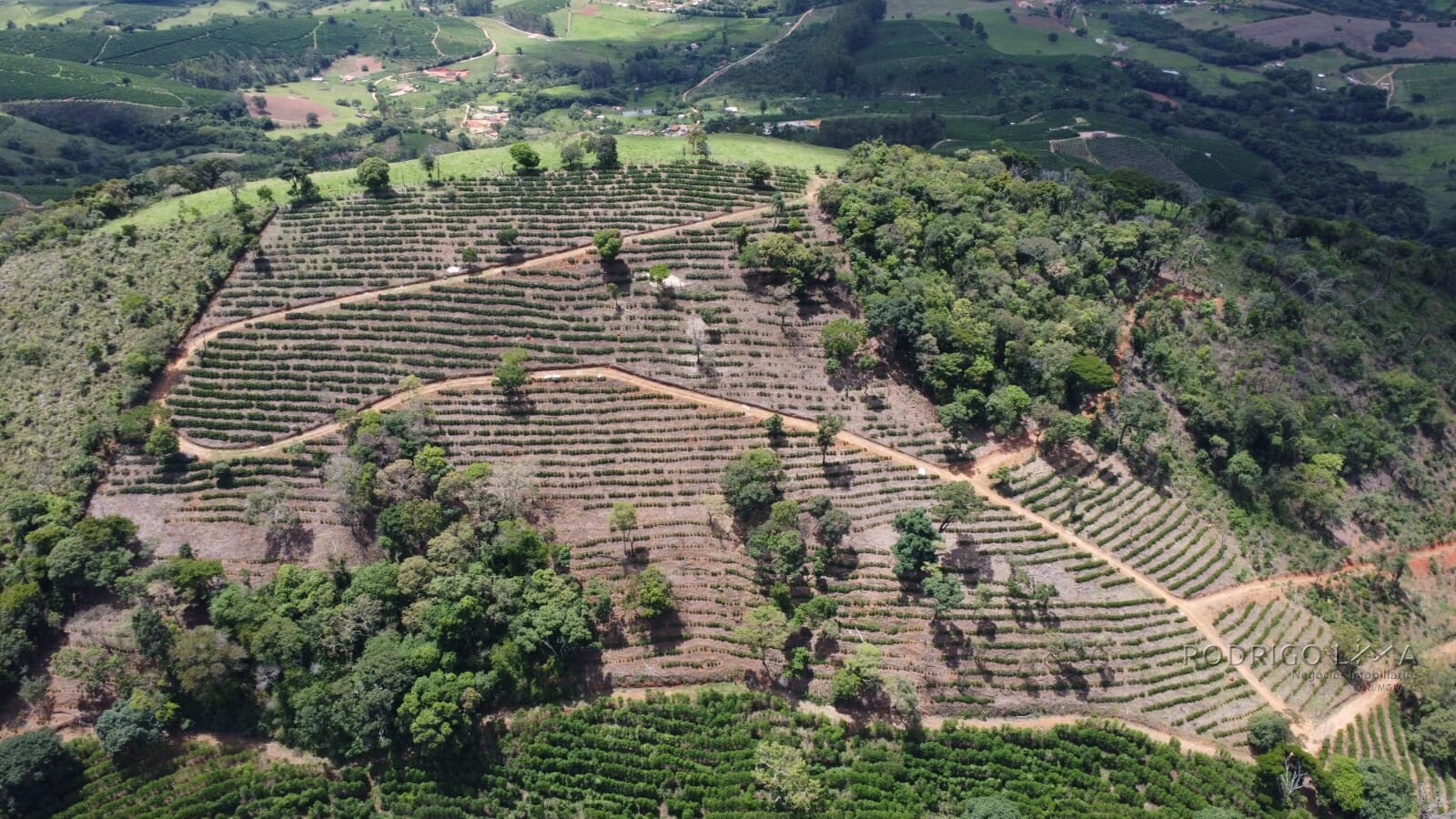 Fazenda para venda em Jesuânia/MG