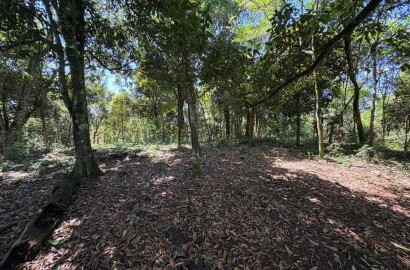 Terreno Rural para venda em Dom Viçoso MG