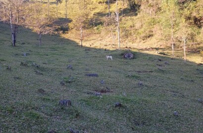 Propriedade rural para venda em Virgínia/MG