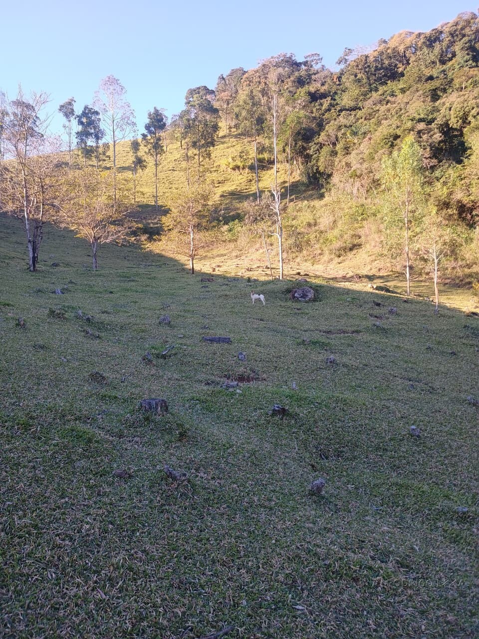 Propriedade rural para venda em Virgínia/MG