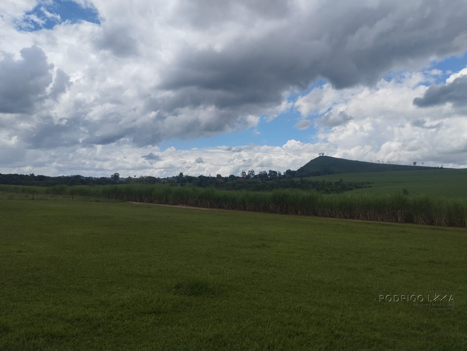 Fazenda para venda na região de Cajuru SP