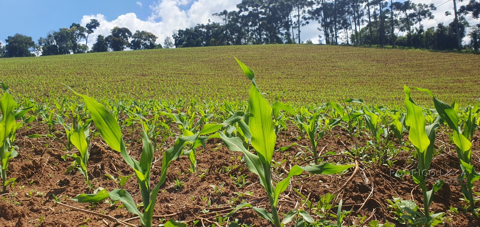 Fazenda para venda próximo a São Lourenço - mg