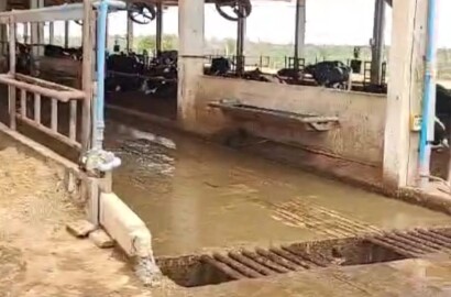 Fazenda para venda em Curvelo Mg