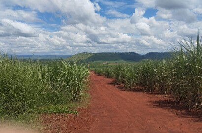 Fazenda para venda na região de Cajuru SP