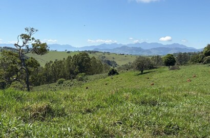 Terreno Rural para venda em Dom Viçoso MG