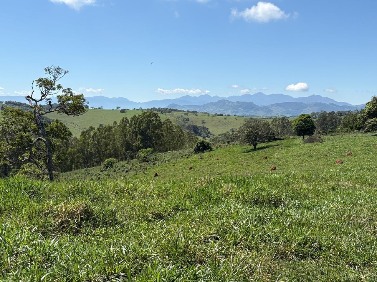 Terreno Rural para venda em Dom Viçoso MG