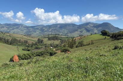 Terreno Rural para venda em Dom Viçoso MG