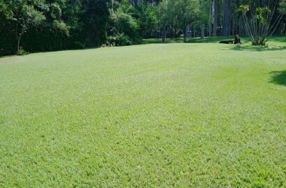 Fazenda para venda na região de Cajuru SP
