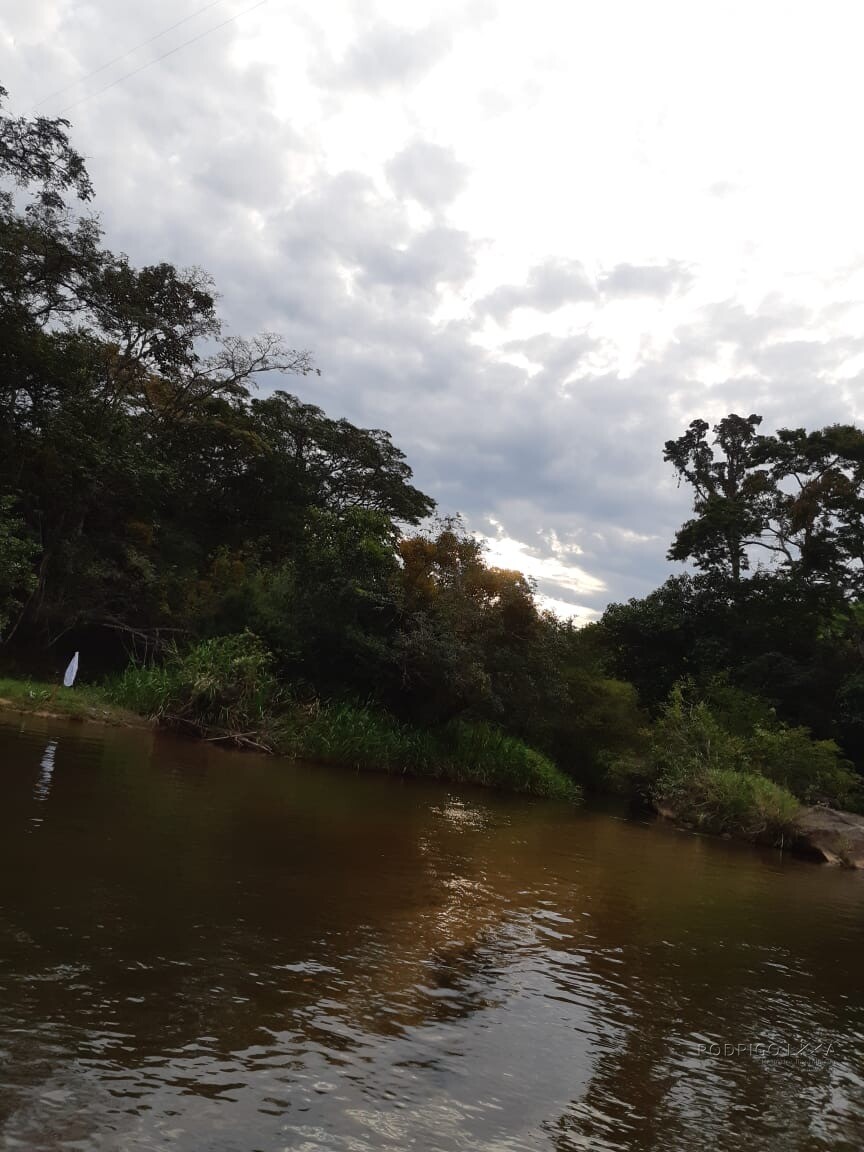 Sítio/ Haras para venda ou Locação em Baependi MG