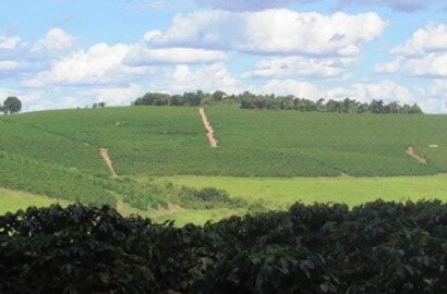 Linda fazenda para venda em Bom Sucesso MG.