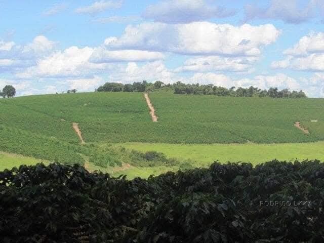 Linda fazenda para venda em Bom Sucesso MG.