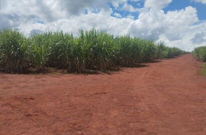 Fazenda para venda na região de Cajuru SP
