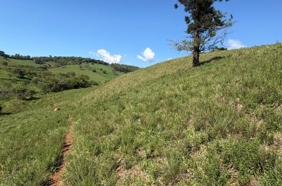 Terreno rural para venda em Dom Viçoso MG