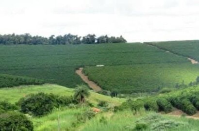 Linda fazenda para venda em Bom Sucesso MG.