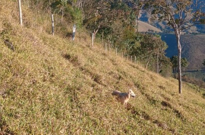 Propriedade rural para venda em Virgínia/MG