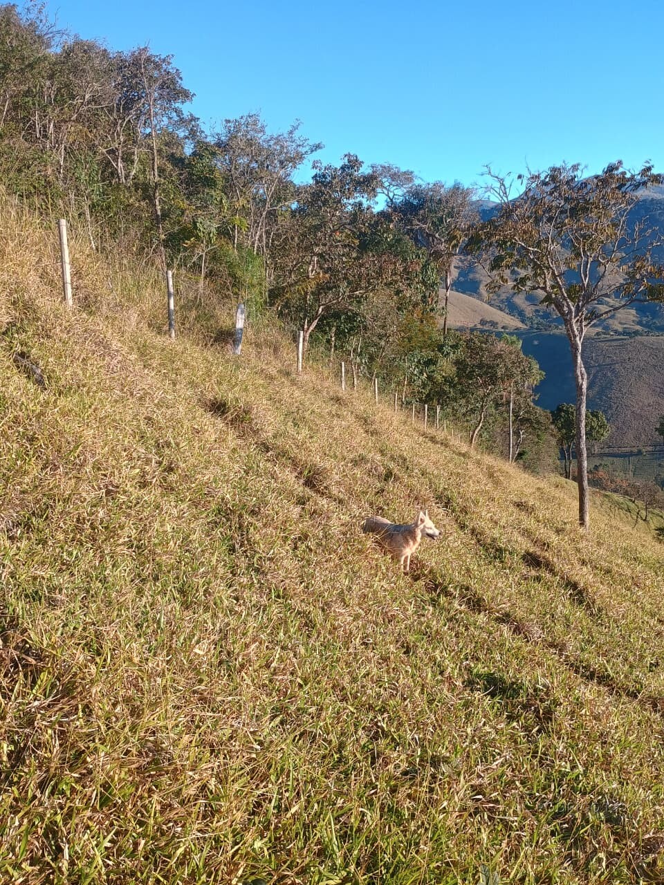 Propriedade rural para venda em Virgínia/MG