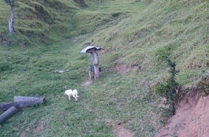 Propriedade rural para venda em Virgínia/MG