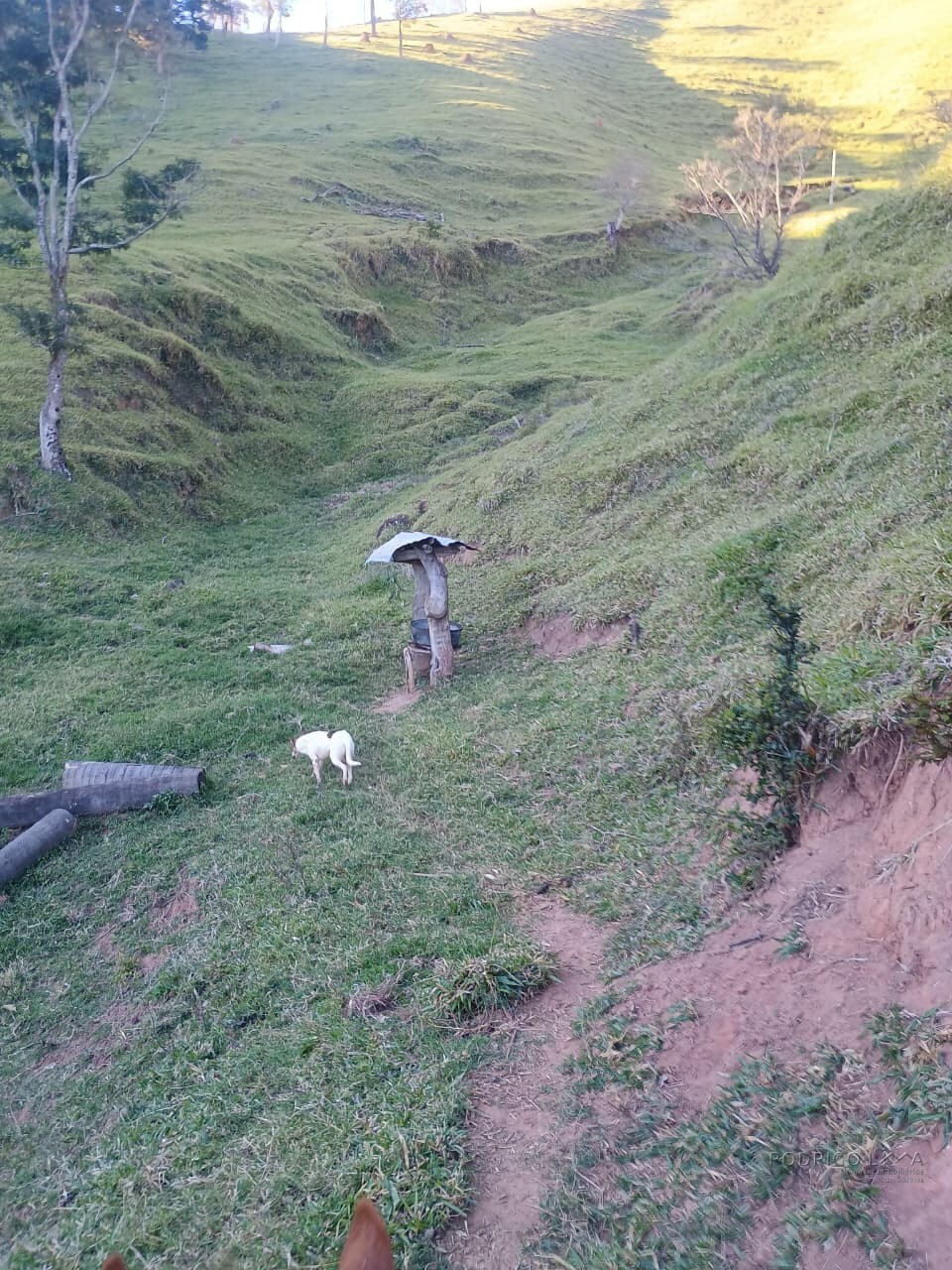 Propriedade rural para venda em Virgínia/MG