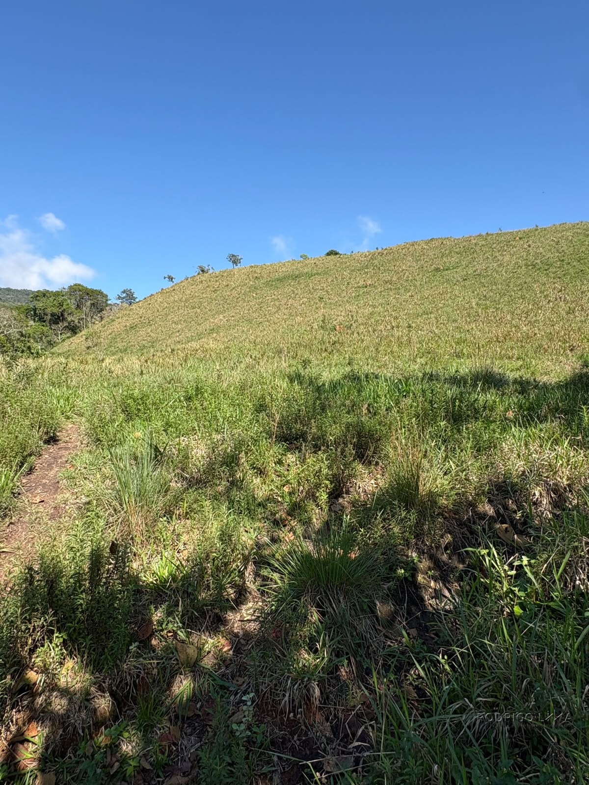 Terreno rural para venda em Dom Viçoso MG