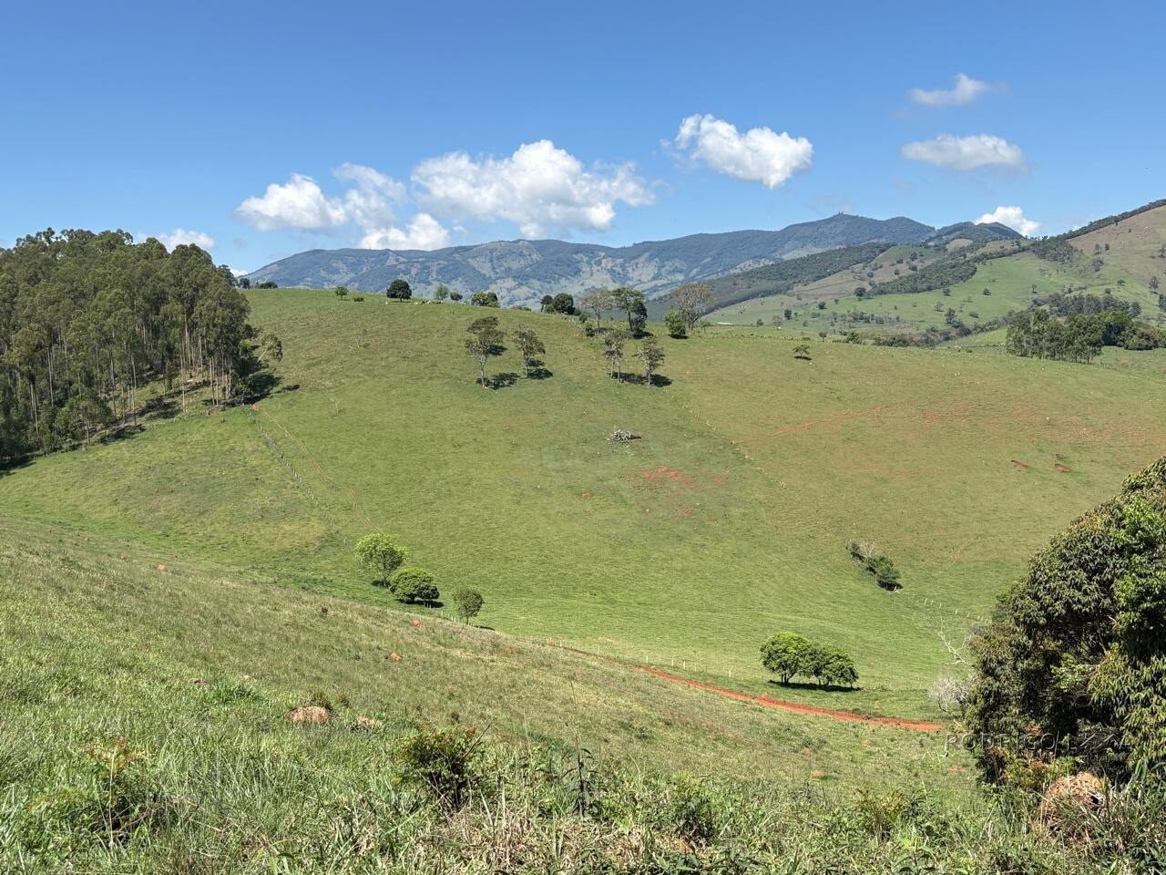 Terreno Rural para venda em Dom Viçoso MG