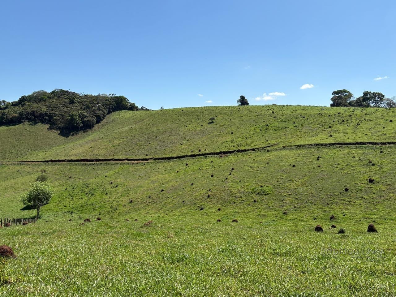 Terreno Rural para venda em Dom Viçoso MG