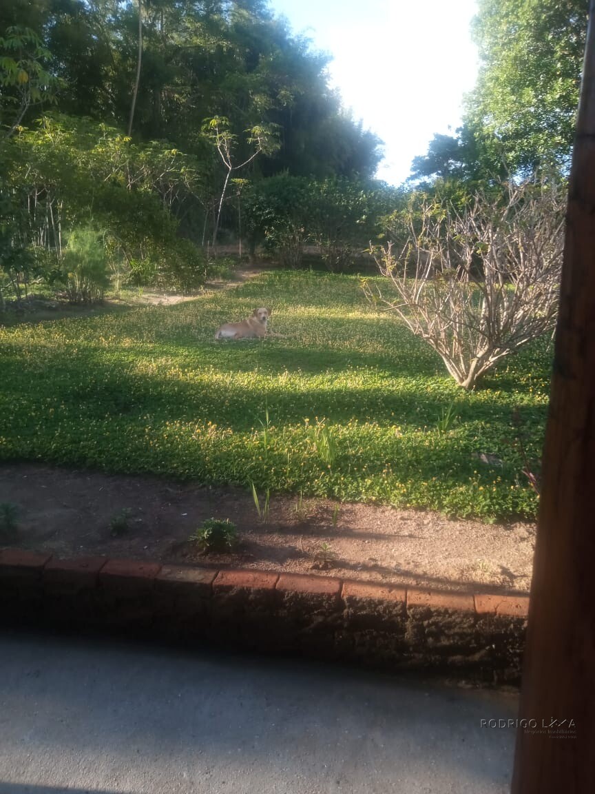 Chácara para venda em Dom Viçoso MG