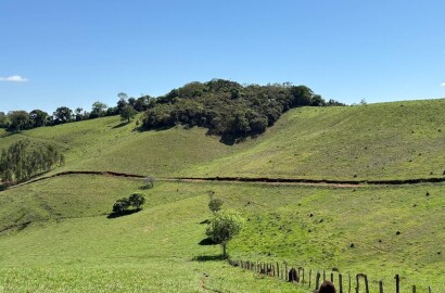 Terreno Rural para venda em Dom Viçoso MG