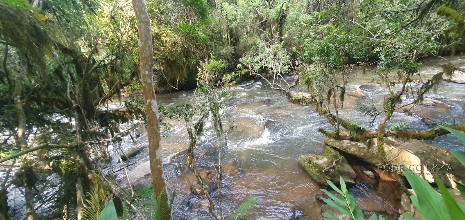 Fazenda para venda próximo a São Lourenço - mg