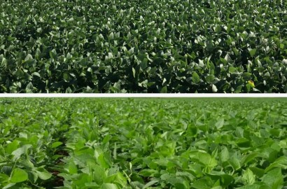 Linda fazenda para venda em Guapé - MG.