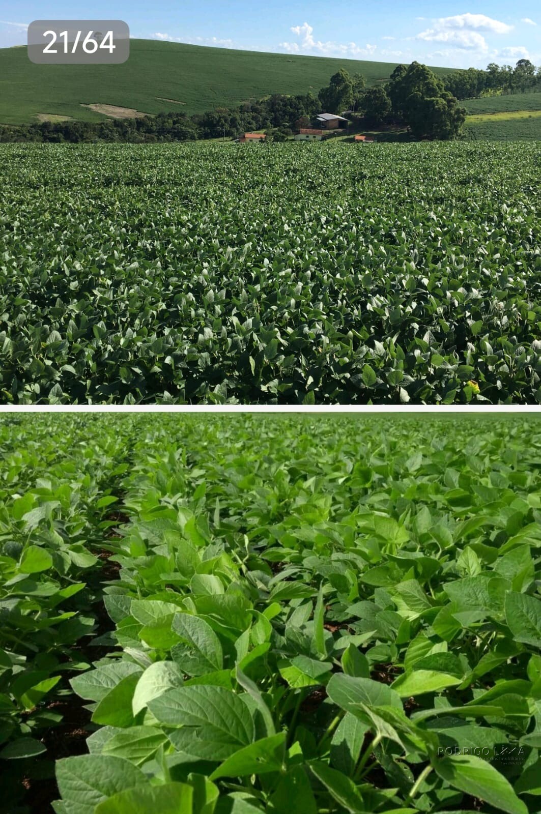 Linda fazenda para venda em Guapé - MG.