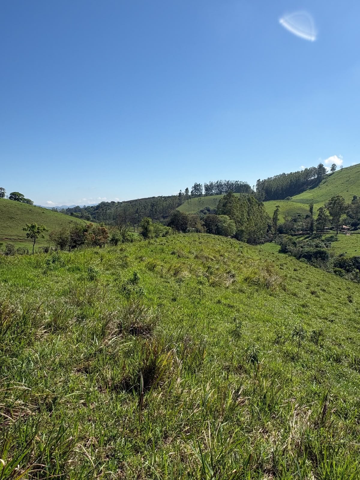 Terreno Rural para venda em Dom Viçoso MG