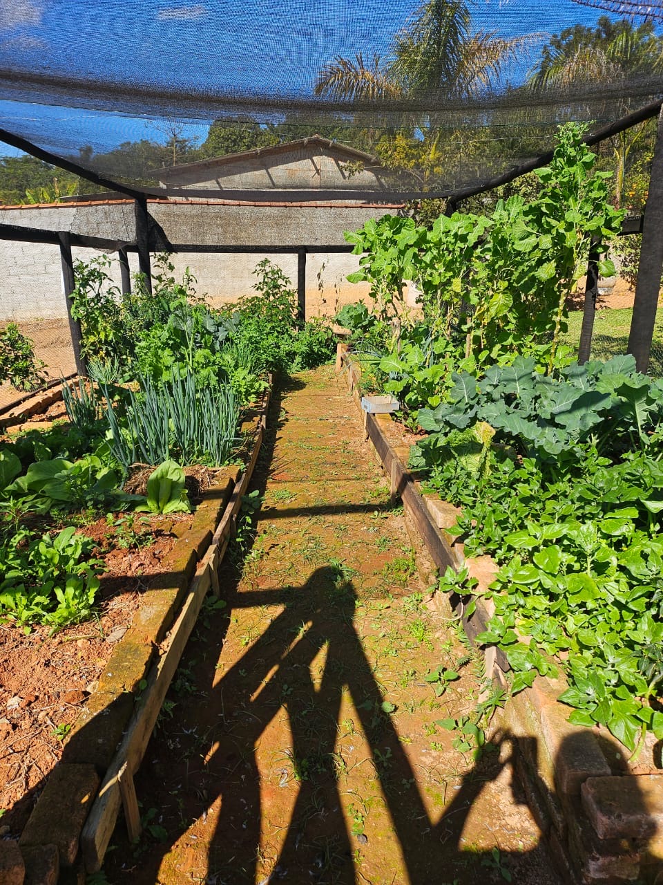 Chácara para venda em Caxambu MG.