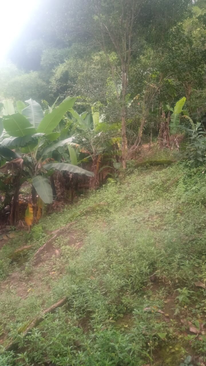 Chácara para venda em Dom Viçoso MG
