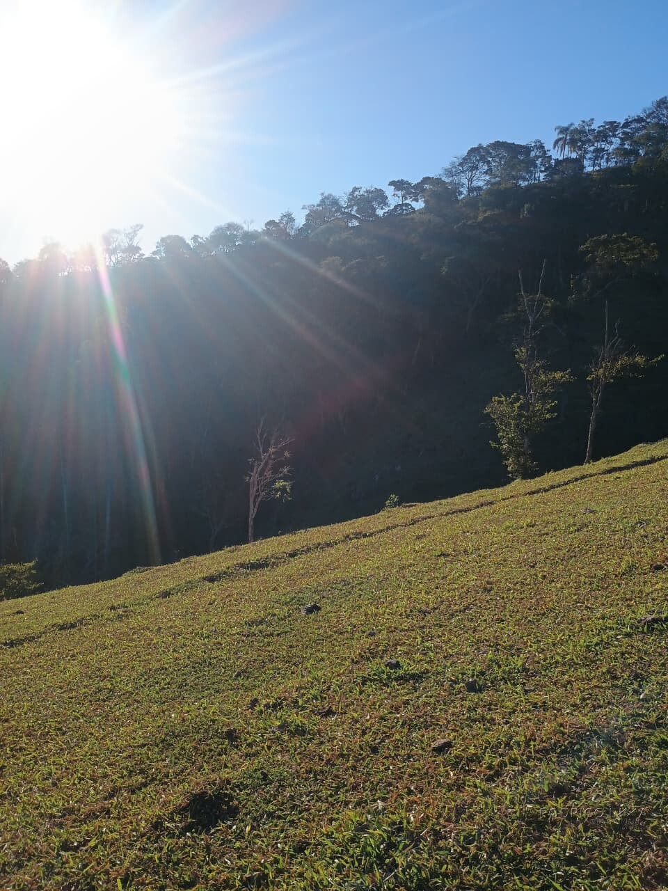 Propriedade rural para venda em Virgínia/MG
