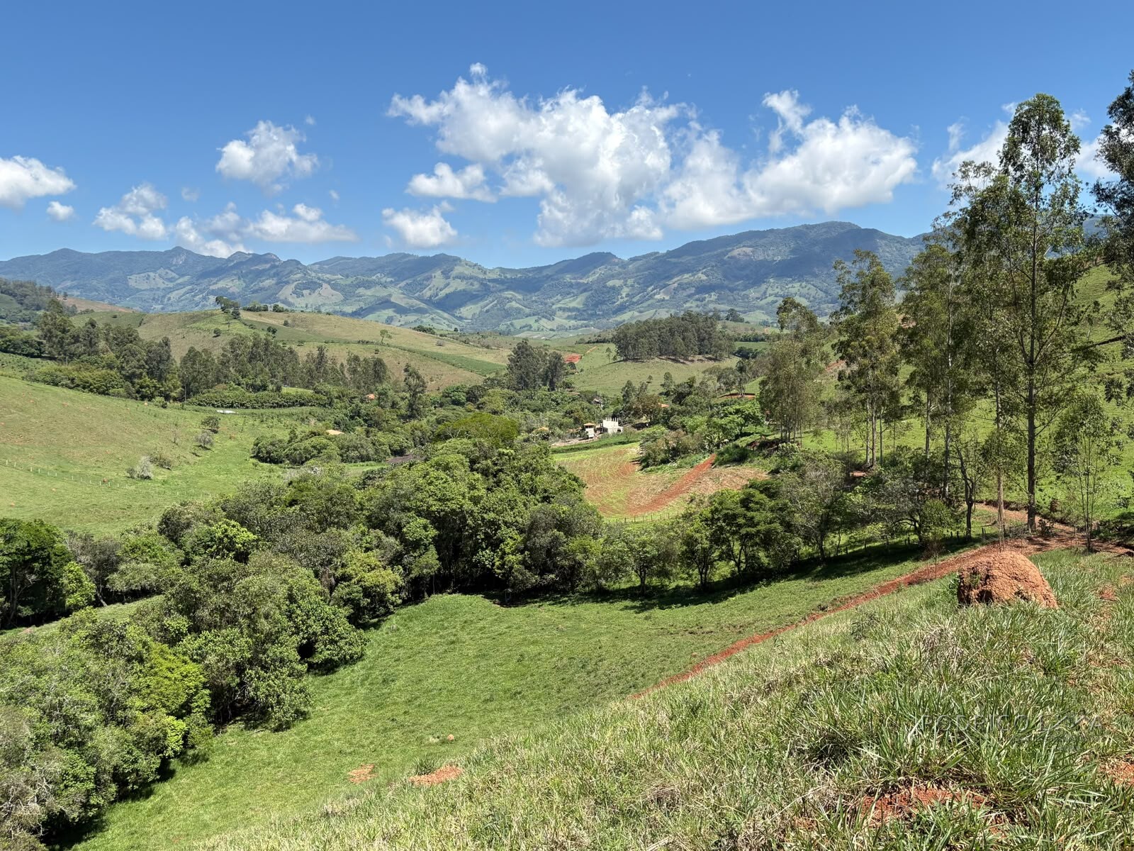 Terreno Rural para venda em Dom Viçoso MG