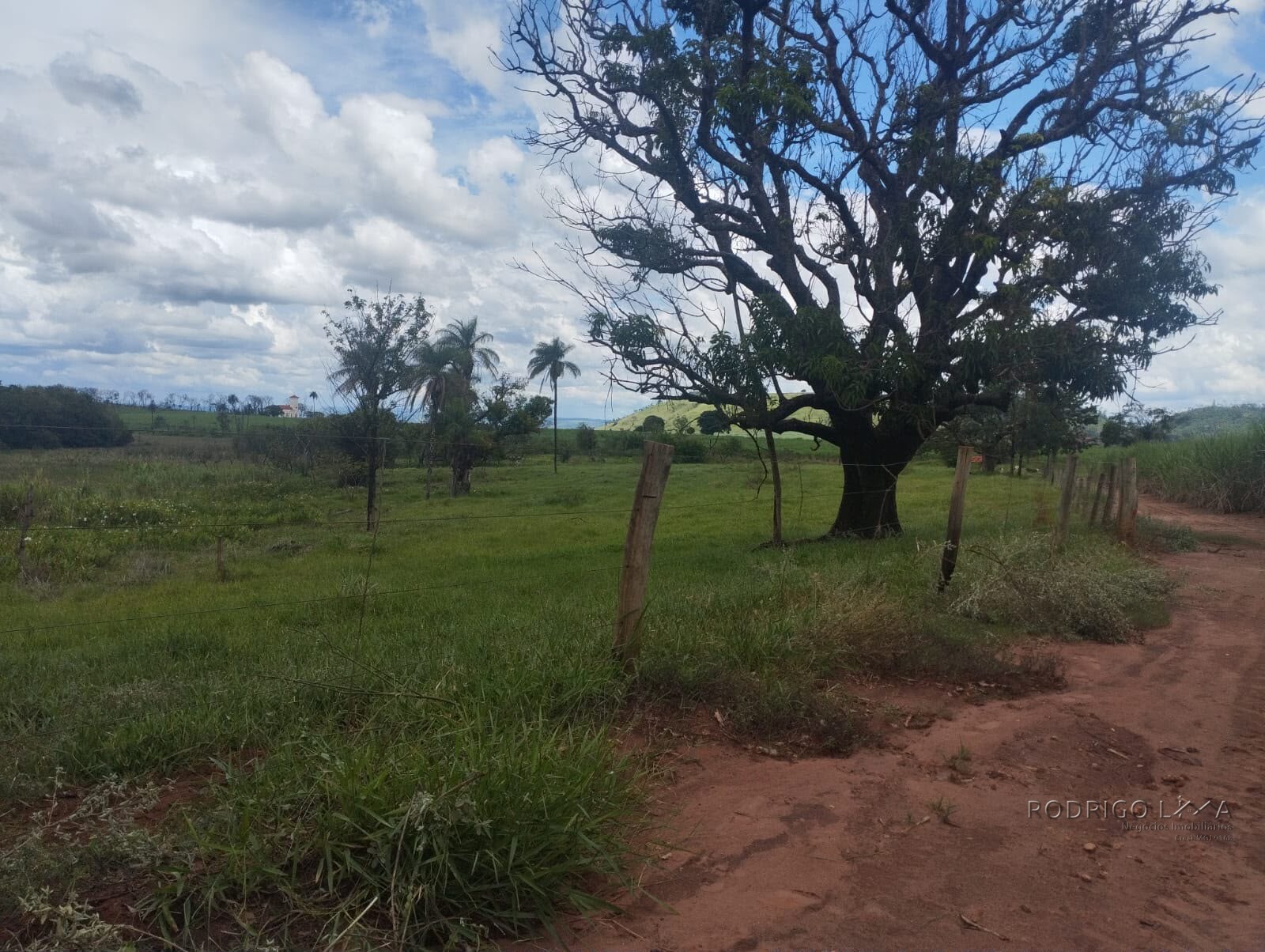 Fazenda para venda na região de Cajuru SP