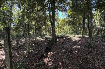 Terreno Rural para venda em Dom Viçoso MG
