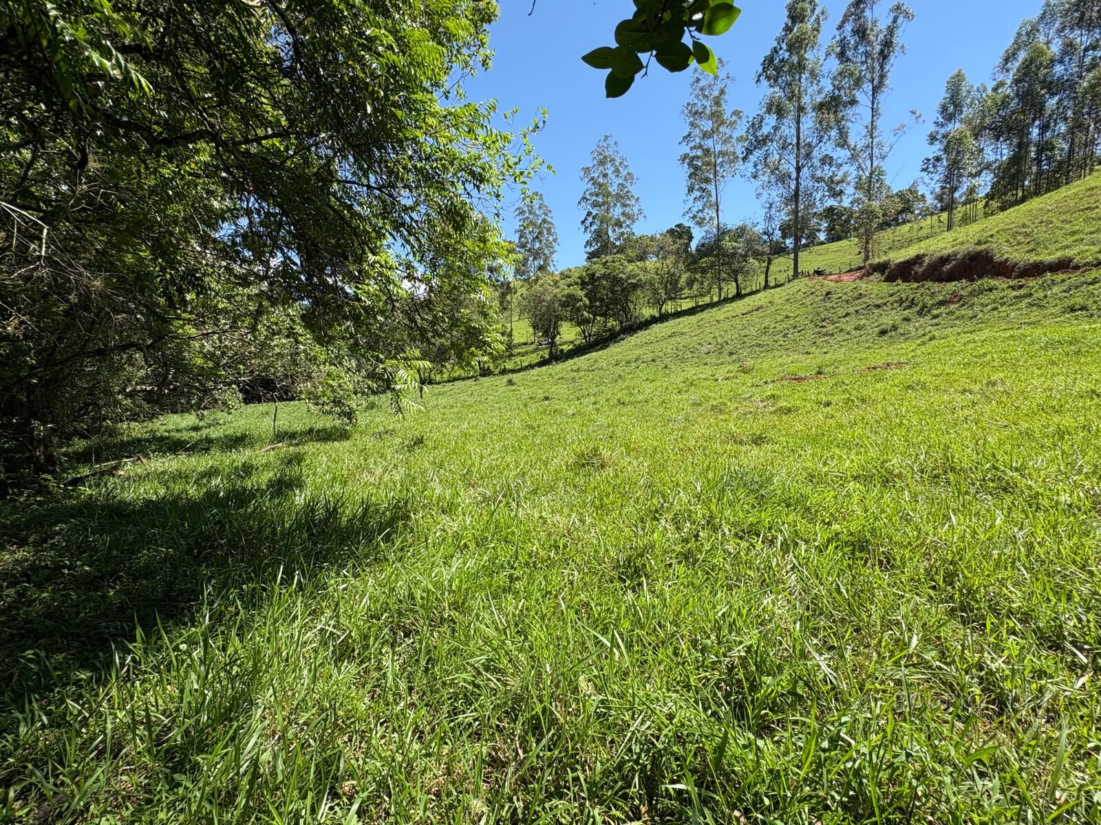 Terreno Rural para venda em Dom Viçoso MG