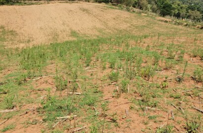 Propriedade para venda entre Carmo de Minas/ Olímpio Noronha Mg