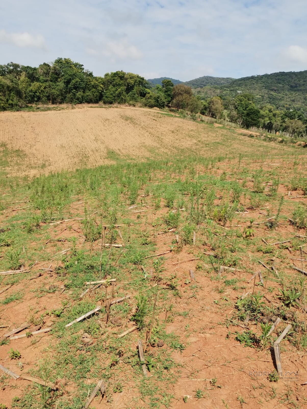Propriedade para venda entre Carmo de Minas/ Olímpio Noronha Mg