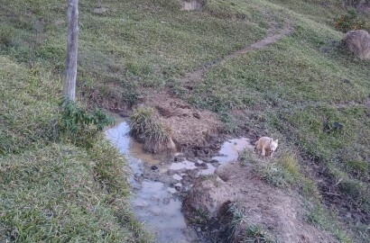Propriedade rural para venda em Virgínia/MG