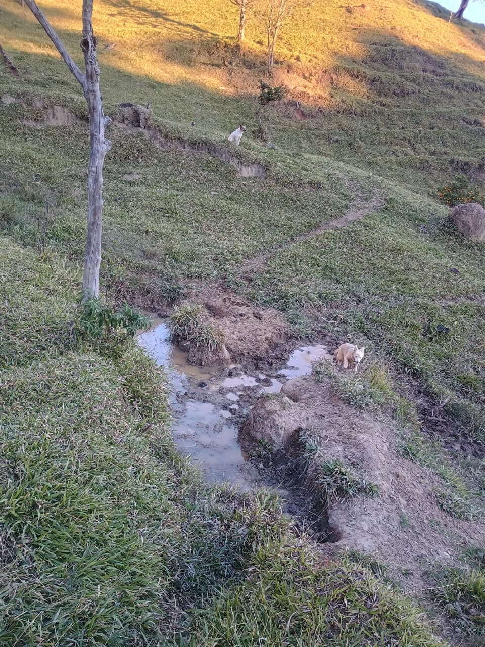 Propriedade rural para venda em Virgínia/MG