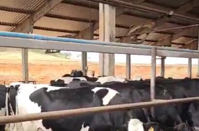 Fazenda para venda em Curvelo Mg