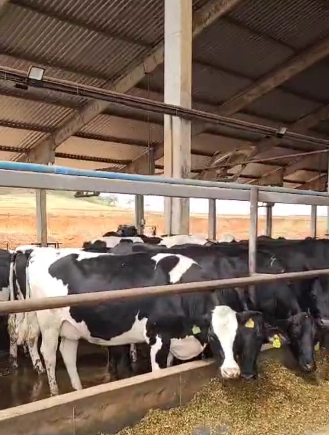 Fazenda para venda em Curvelo Mg